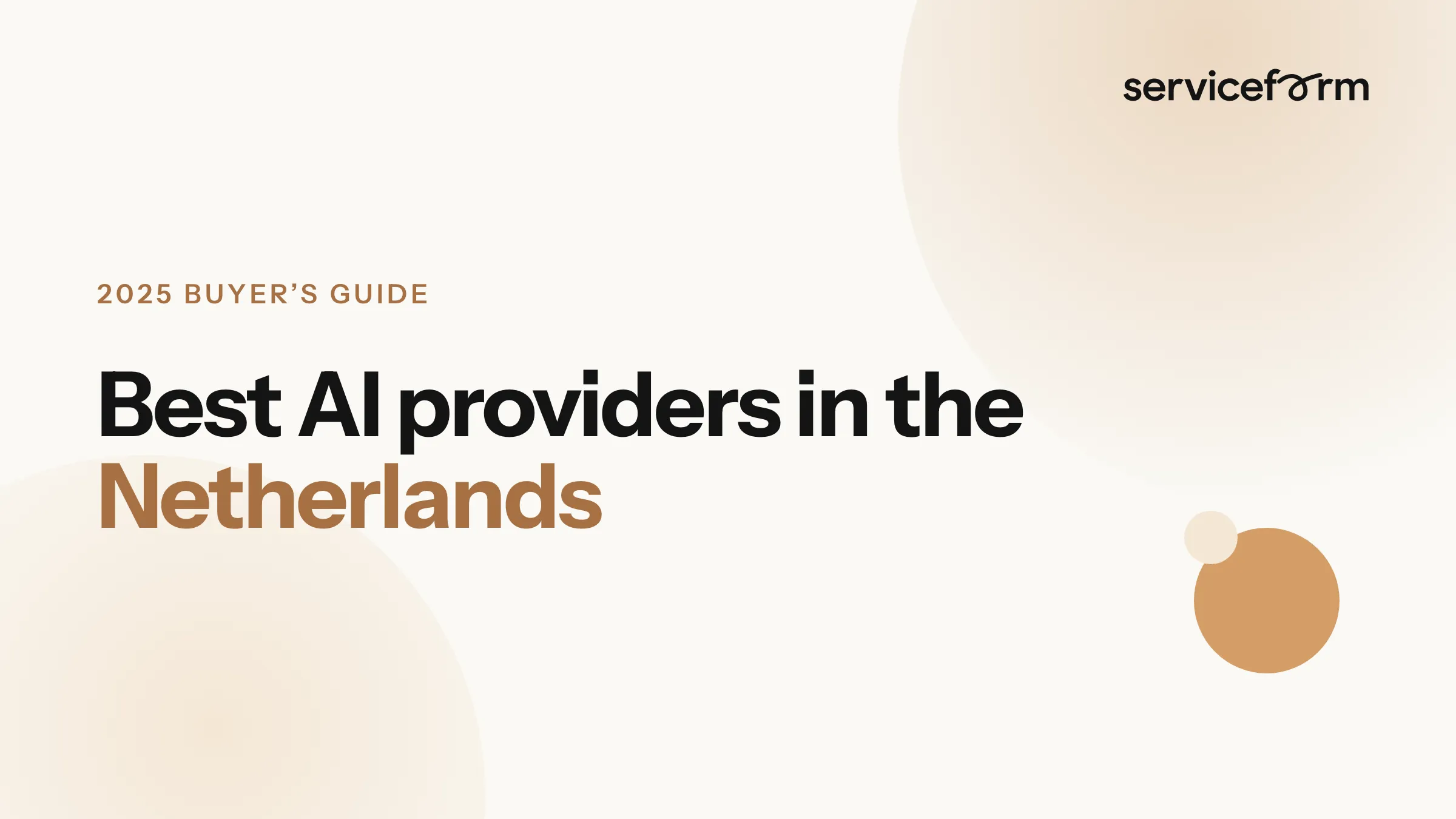 Best AI Providers in the Netherlands for Customer-Facing AI (2026)